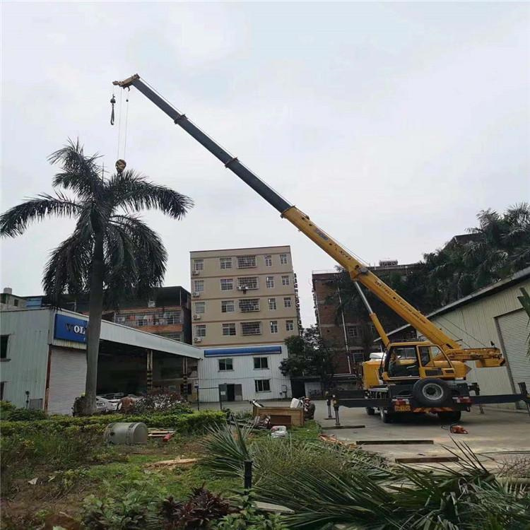 浈江树木移栽装卸